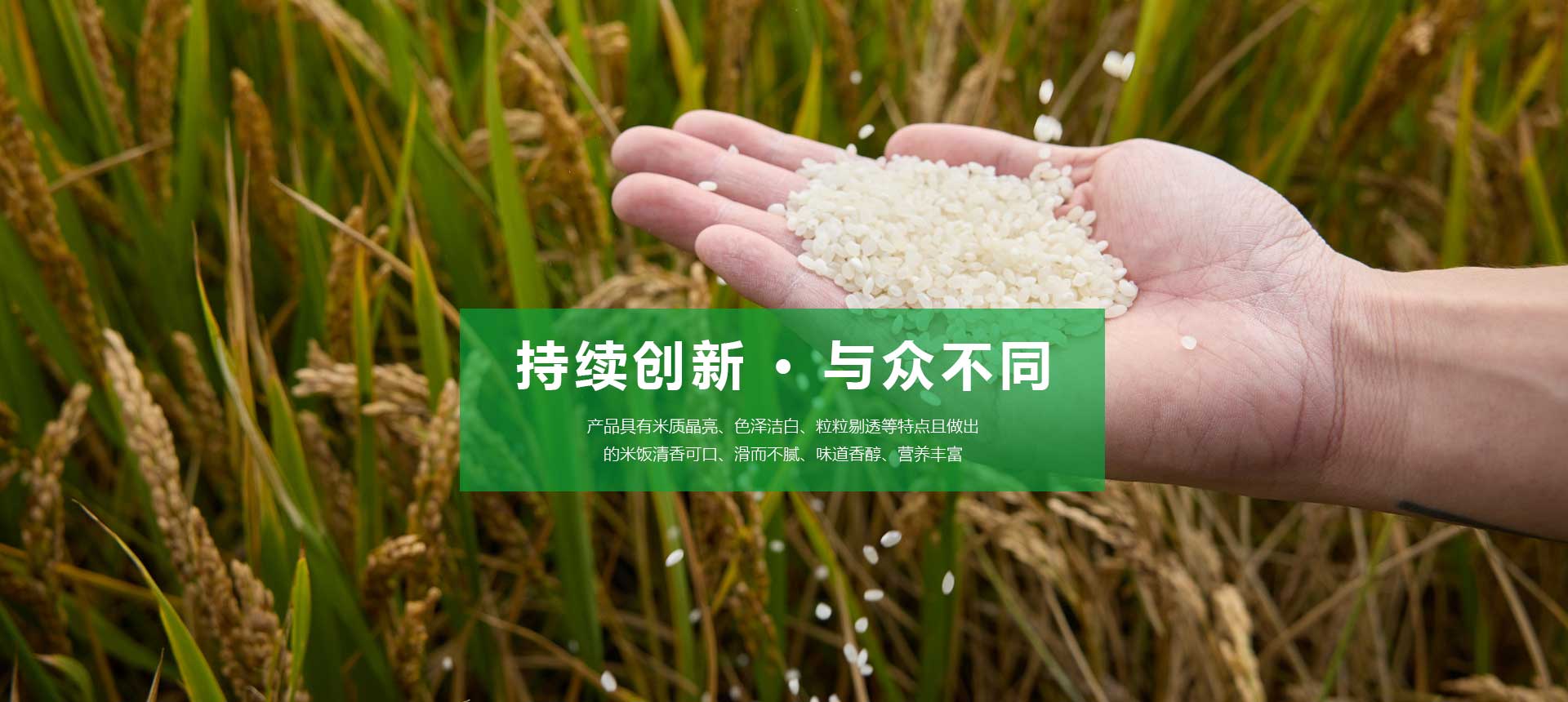 盘锦鑫丰米业有限公司